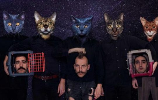 April 13th: New album of cats... PRYAPISME!